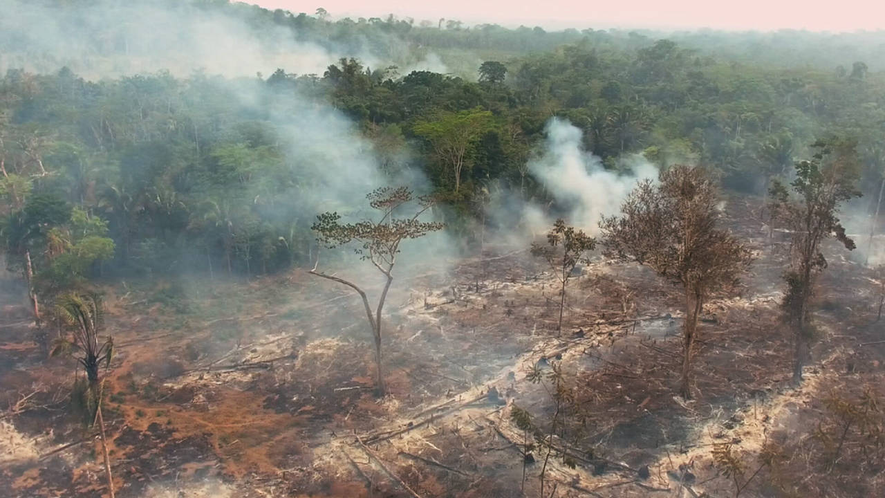 Amazonie, la maison brûle